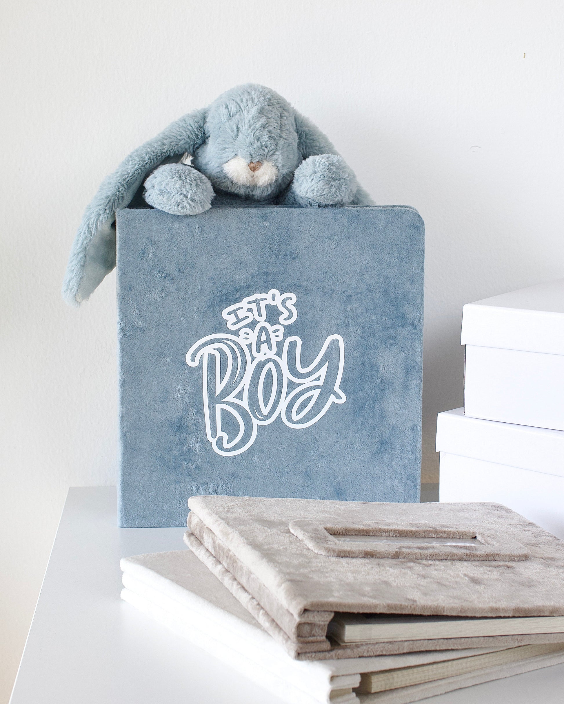 Blue baby shower banner with 'It's a Boy' text, plush toy, and books on a white background